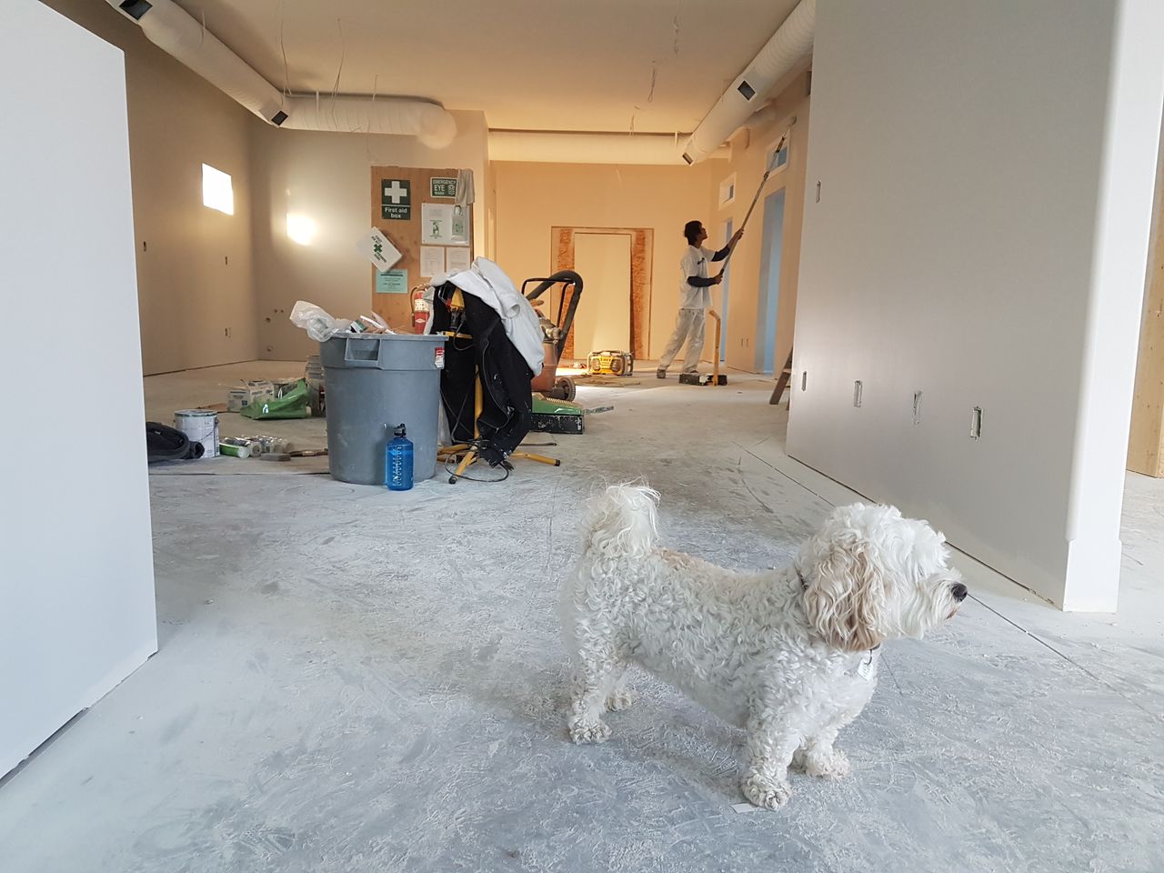 about-us-02 Interior renovation scene with a painter working and a dog in the foreground.